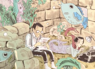 Illustration Alice Socal